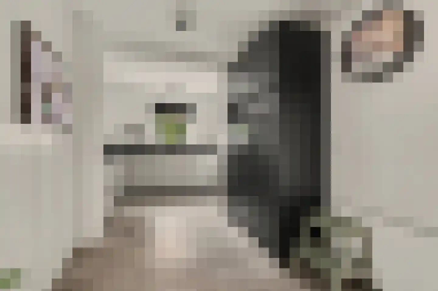 Wilhelminastraat 1 Waspik thumbnail 10
