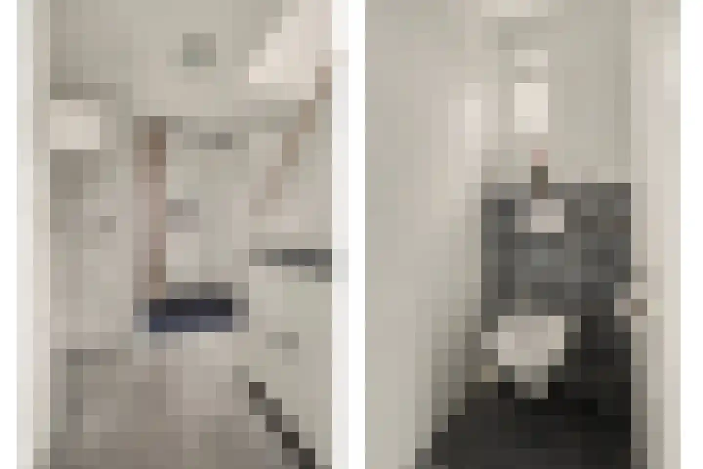 Wilhelminastraat 1 Waspik thumbnail 13