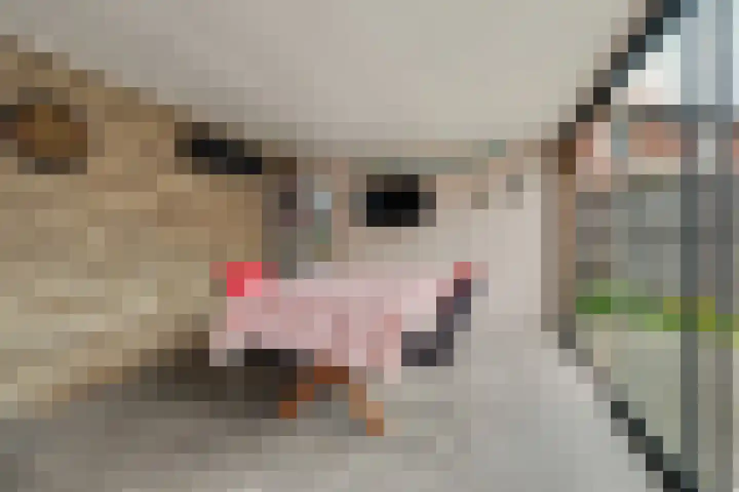 Wilhelminastraat 1 Waspik thumbnail 15