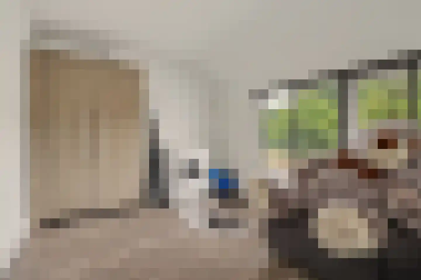 Wilhelminastraat 1 Waspik thumbnail 23
