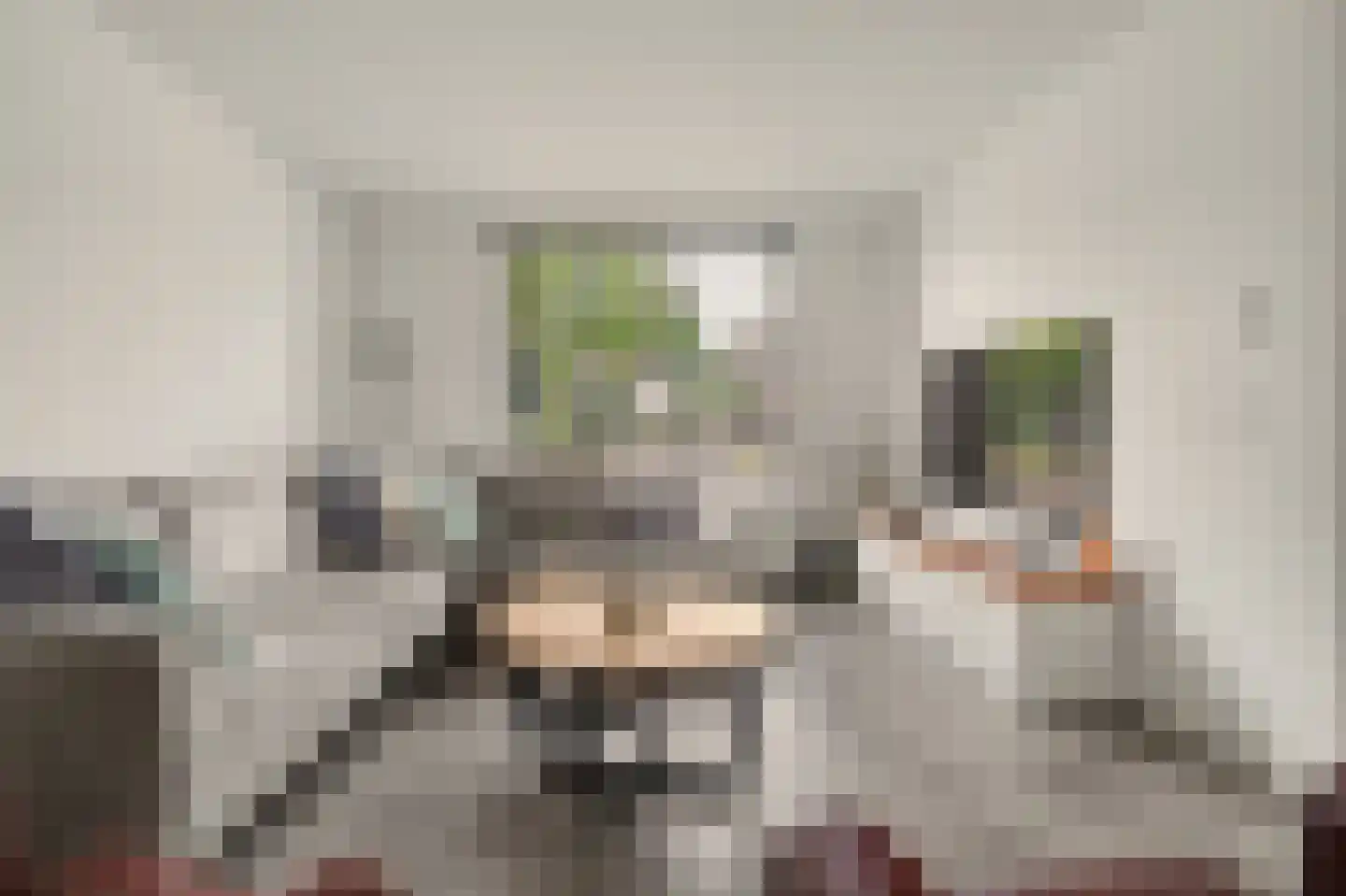 Wilhelminastraat 1 Waspik thumbnail 8