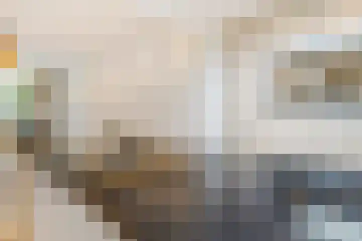 Wilhelminastraat 1 Weesp thumbnail 13