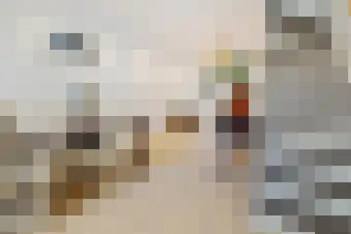 Wilhelminastraat 1 Weesp thumbnail 17