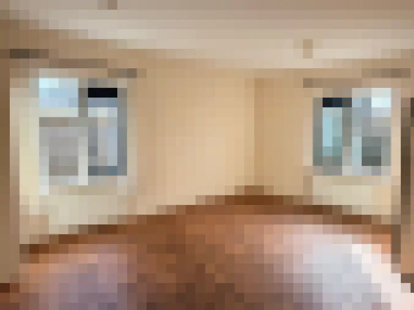 Wilhelminastraat 1 Zwaag thumbnail 10
