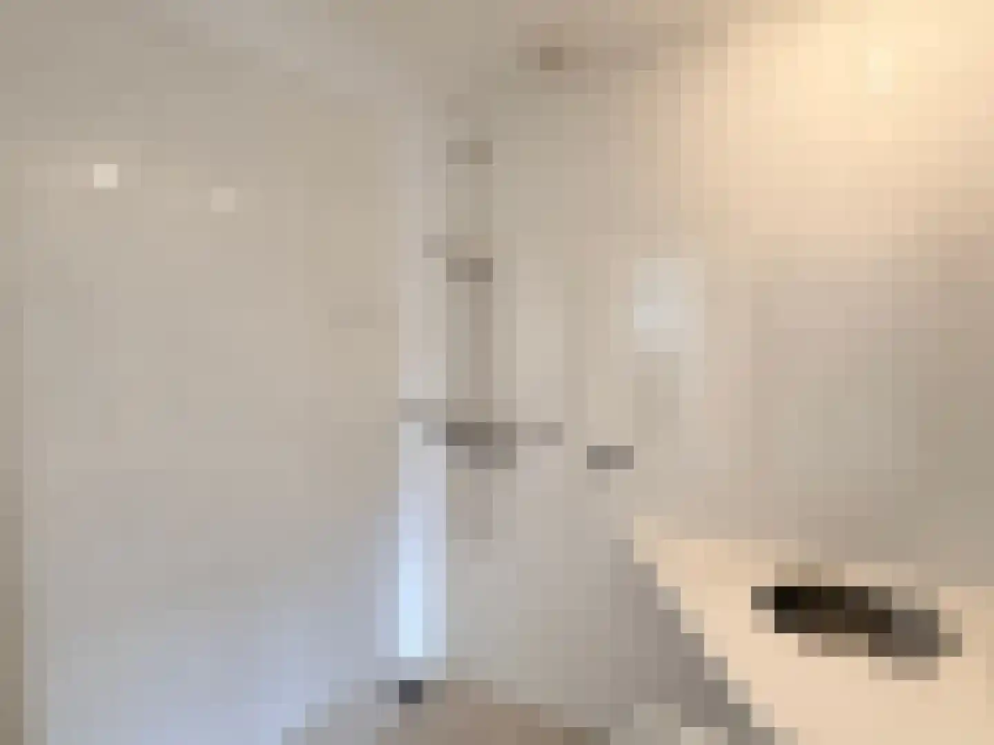 Wilhelminastraat 1 Zwaag thumbnail 16