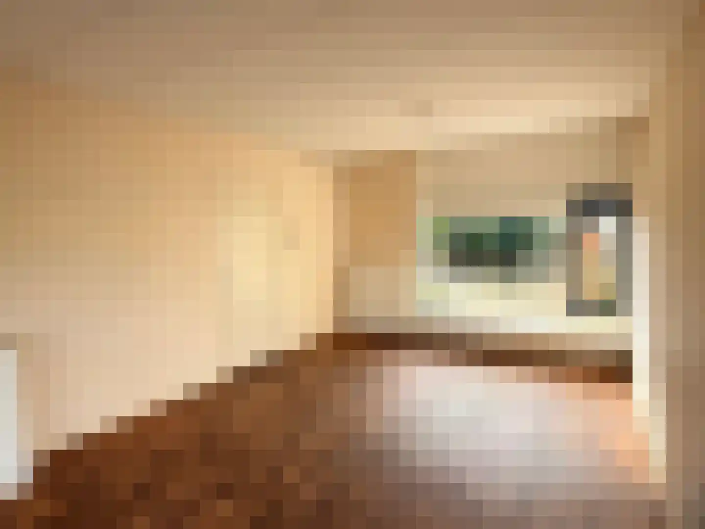 Wilhelminastraat 1 Zwaag thumbnail 7