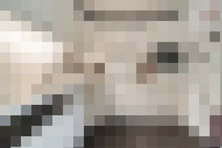Wilhelminastraat 10 De Krim thumbnail 18