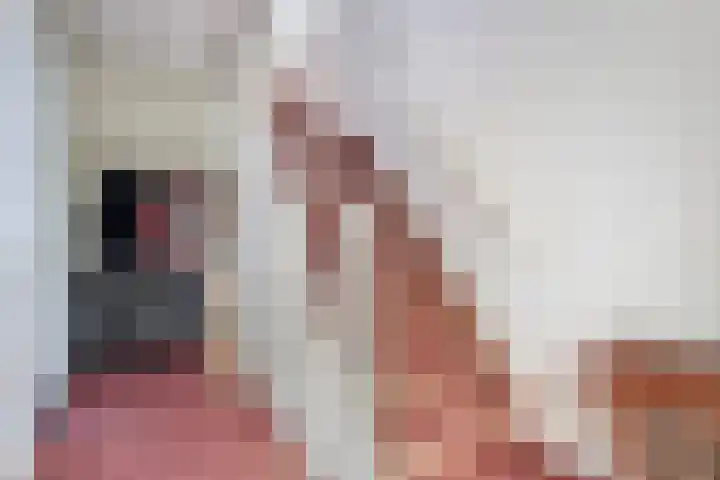 Wilhelminastraat 10 De Krim thumbnail 23