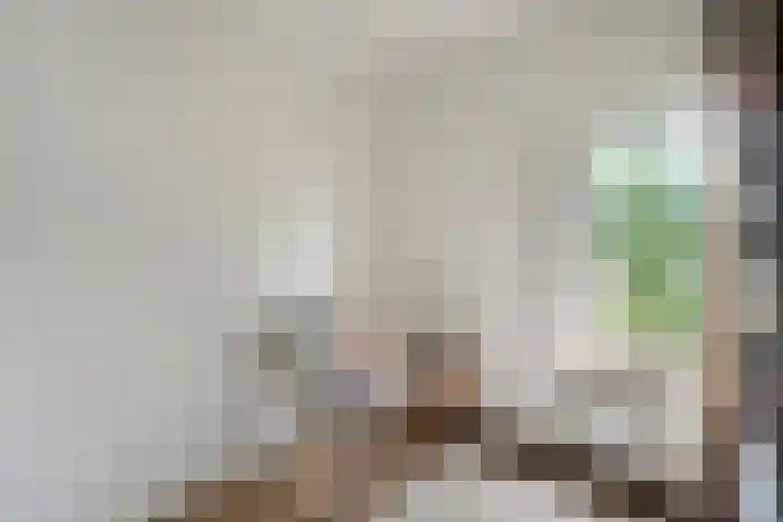 Wilhelminastraat 10 De Krim thumbnail 30