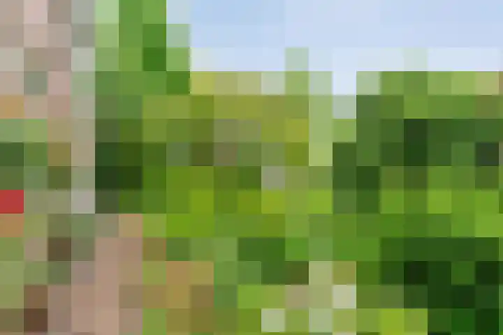Wilhelminastraat 10 De Krim thumbnail 36