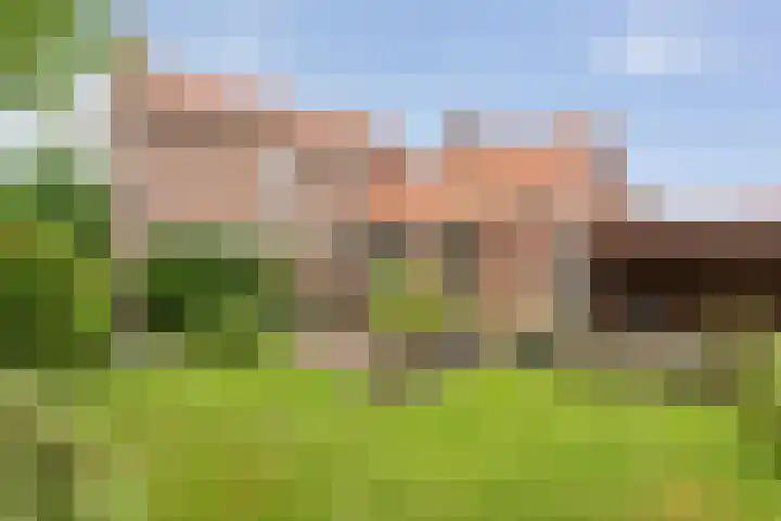Wilhelminastraat 10 De Krim thumbnail 37