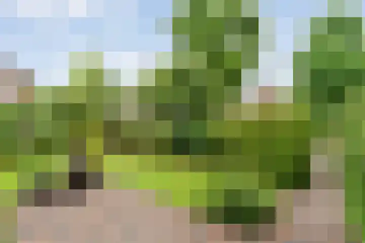 Wilhelminastraat 10 De Krim thumbnail 39