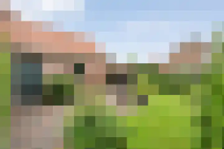 Wilhelminastraat 10 De Krim thumbnail 40