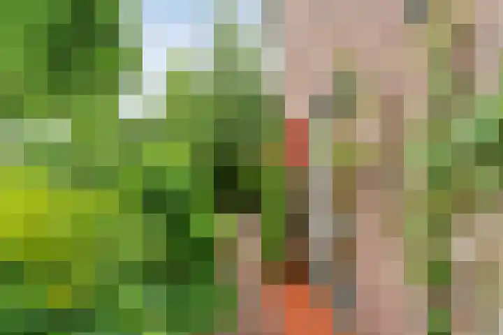 Wilhelminastraat 10 De Krim thumbnail 41