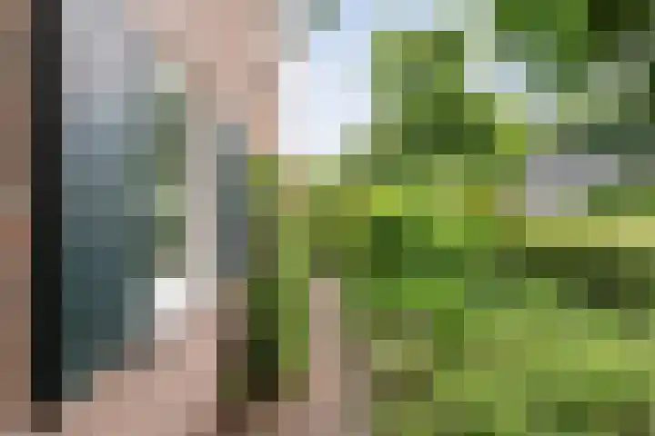 Wilhelminastraat 10 De Krim thumbnail 42