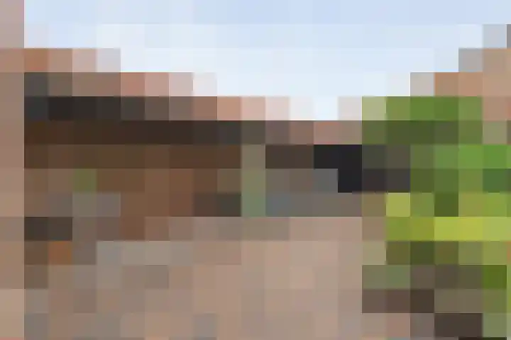 Wilhelminastraat 10 De Krim thumbnail 43