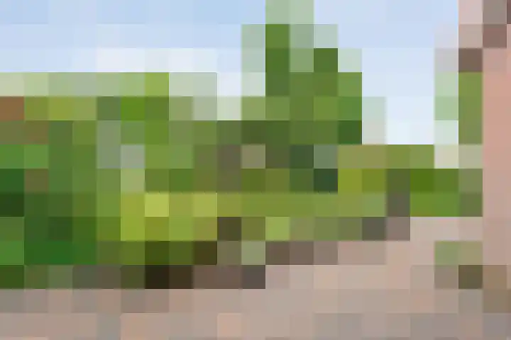 Wilhelminastraat 10 De Krim thumbnail 44
