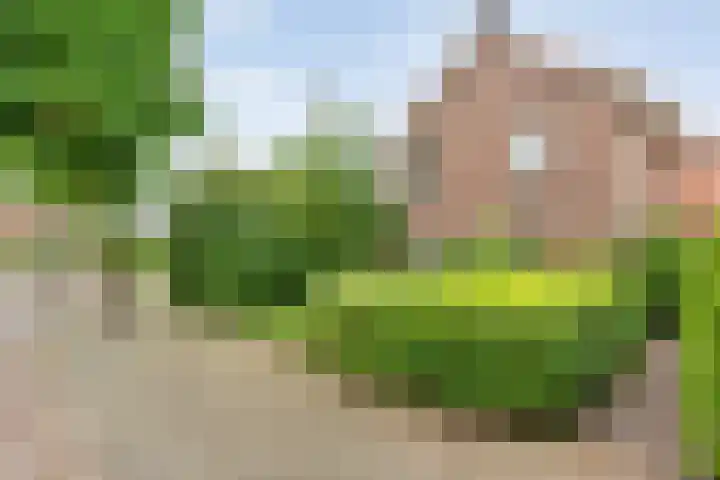 Wilhelminastraat 10 De Krim thumbnail 45