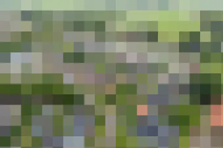 Wilhelminastraat 10 De Krim thumbnail 5