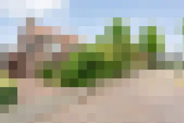 Wilhelminastraat 10 De Krim thumbnail 7