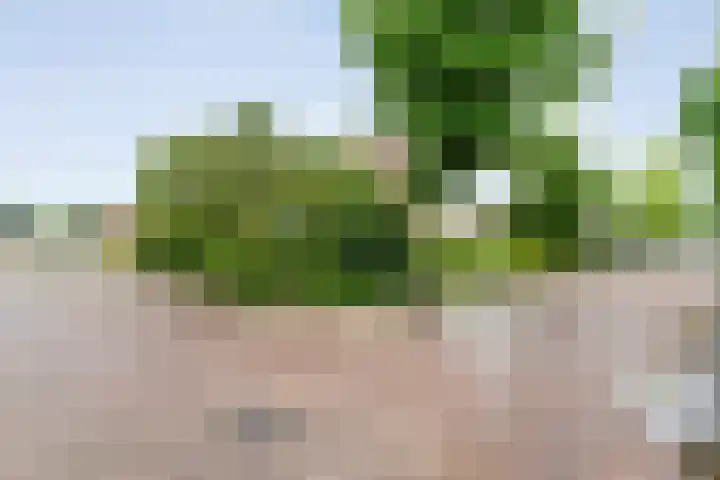 Wilhelminastraat 10 De Krim thumbnail 8
