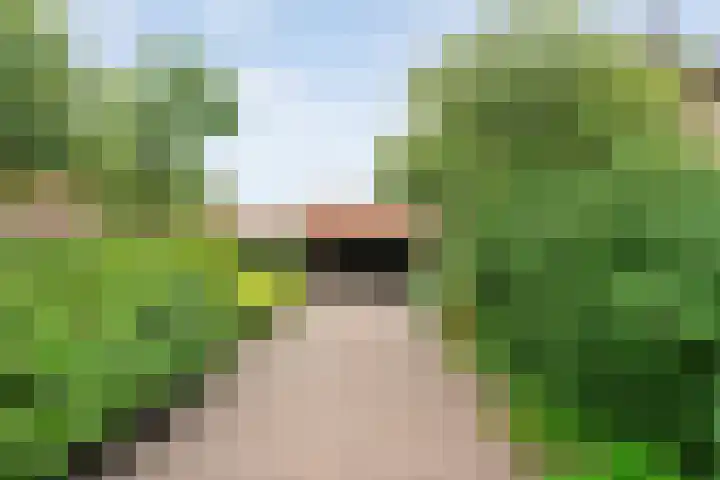 Wilhelminastraat 10 De Krim thumbnail 9