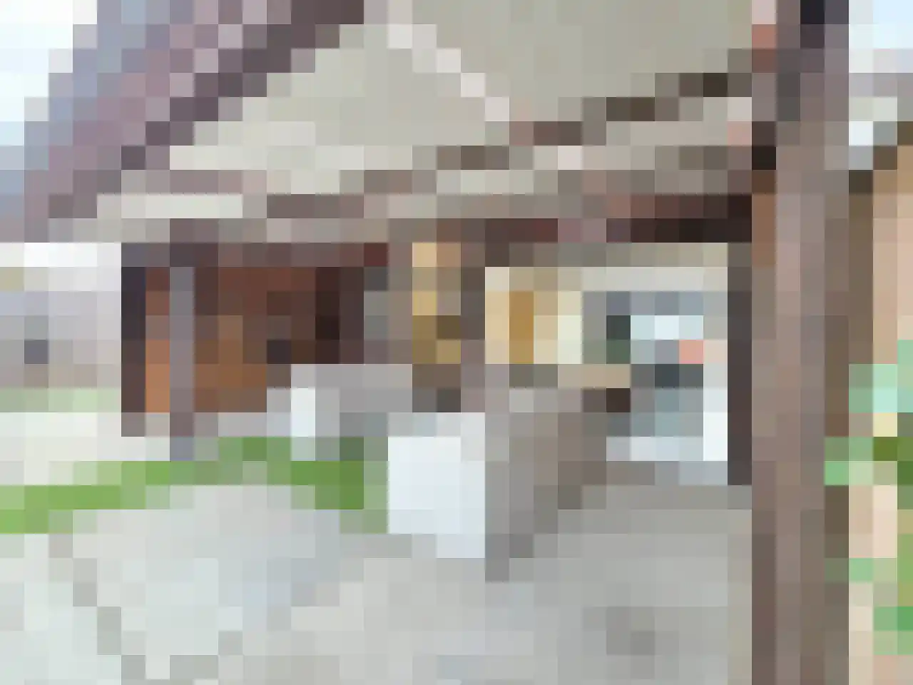 Wilhelminastraat 10 Heeswijk-Dinther thumbnail 44