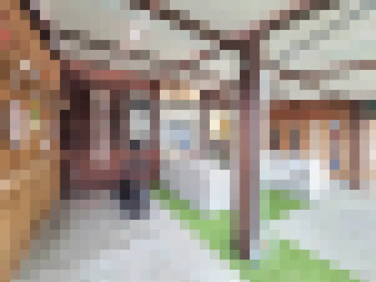 Wilhelminastraat 10 Heeswijk-Dinther thumbnail 45