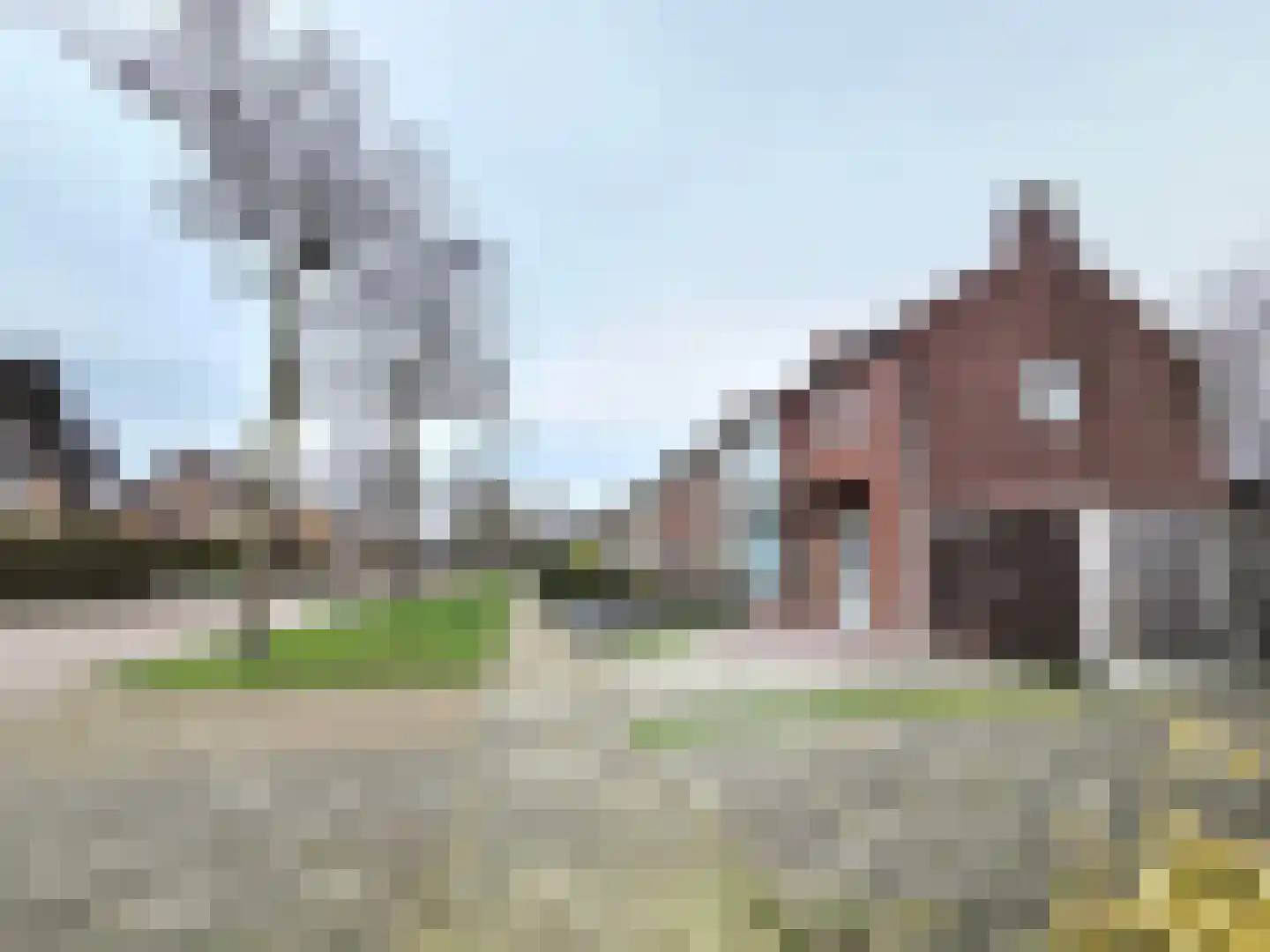 Wilhelminastraat 10 Heeswijk-Dinther thumbnail 57