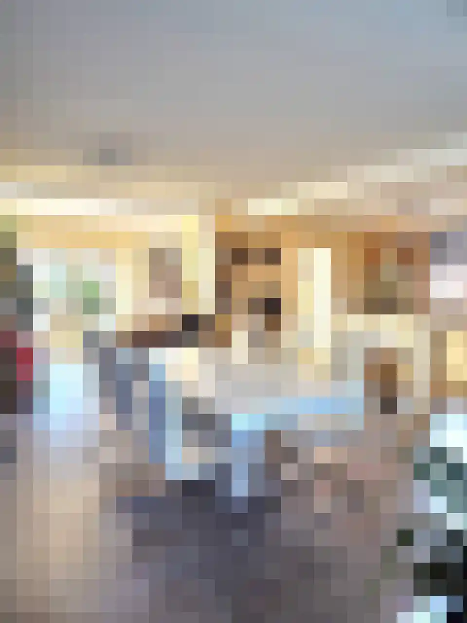 Wilhelminastraat 10 Heeswijk-Dinther thumbnail 6