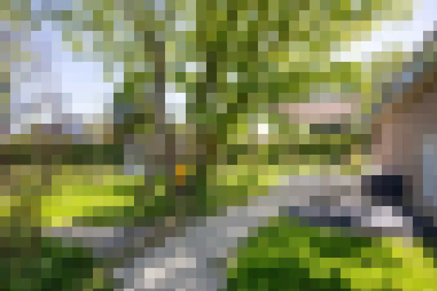 Wilhelminastraat 10 Leens thumbnail 48