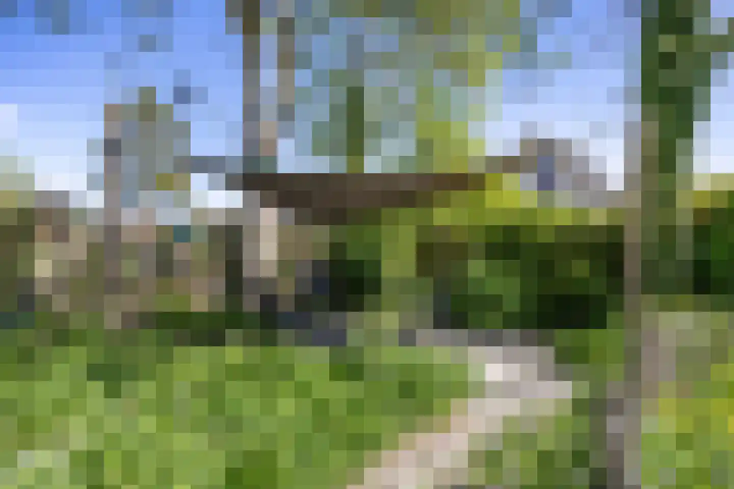 Wilhelminastraat 10 Leens thumbnail 50
