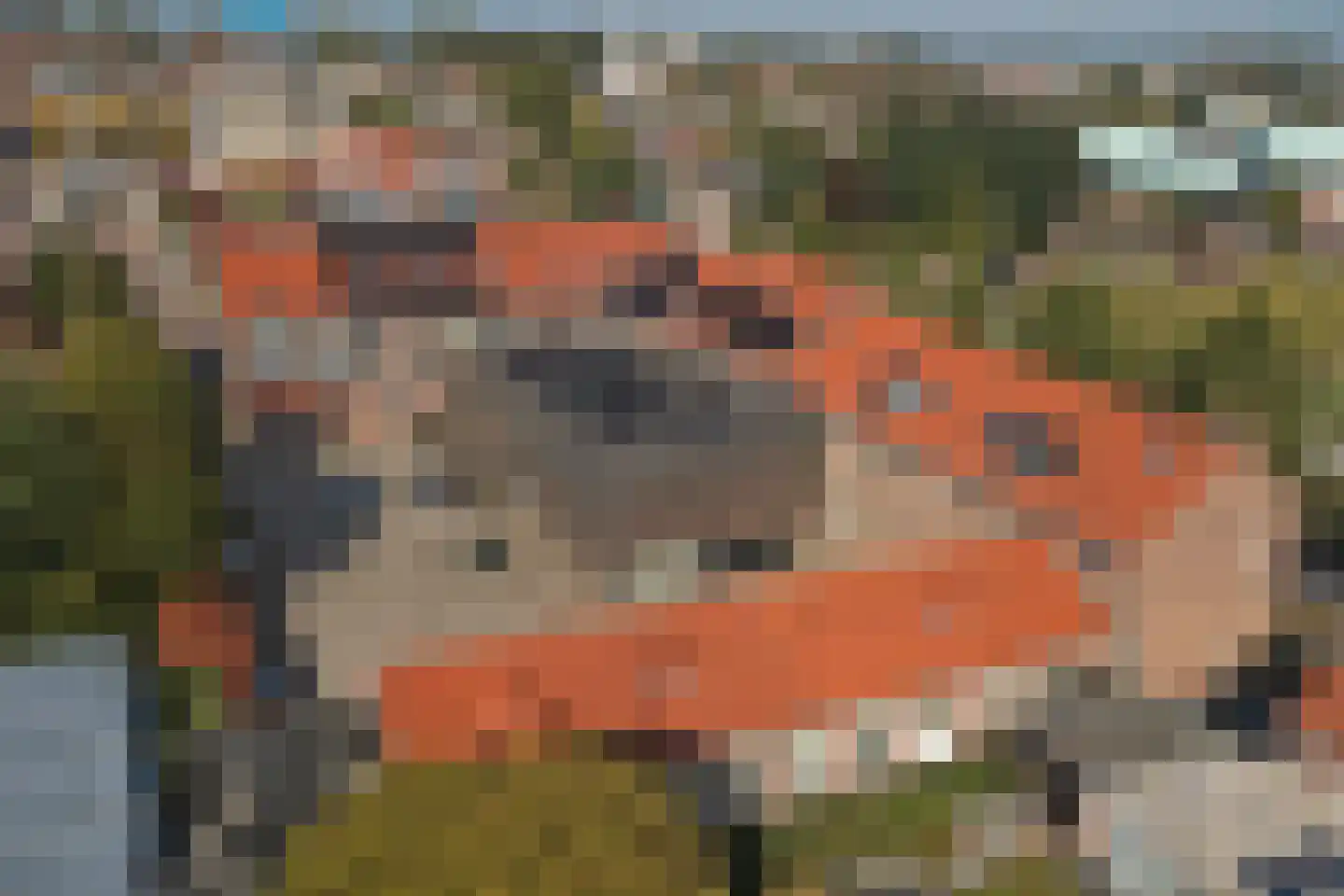Wilhelminastraat 10 m Waalwijk thumbnail 38
