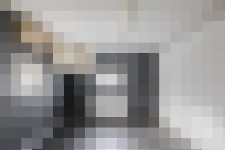 Wilhelminastraat 10 Nijeveen thumbnail 11