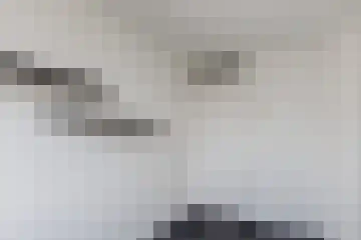 Wilhelminastraat 10 Nijeveen thumbnail 16