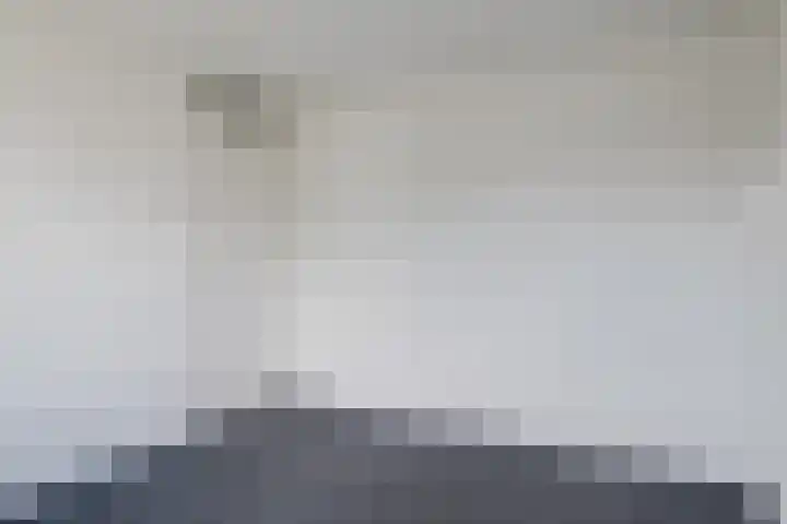 Wilhelminastraat 10 Nijeveen thumbnail 18