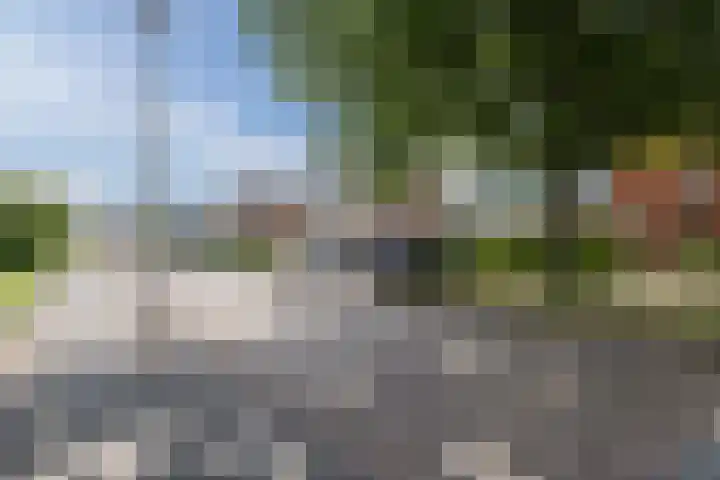 Wilhelminastraat 10 Nijeveen thumbnail 29