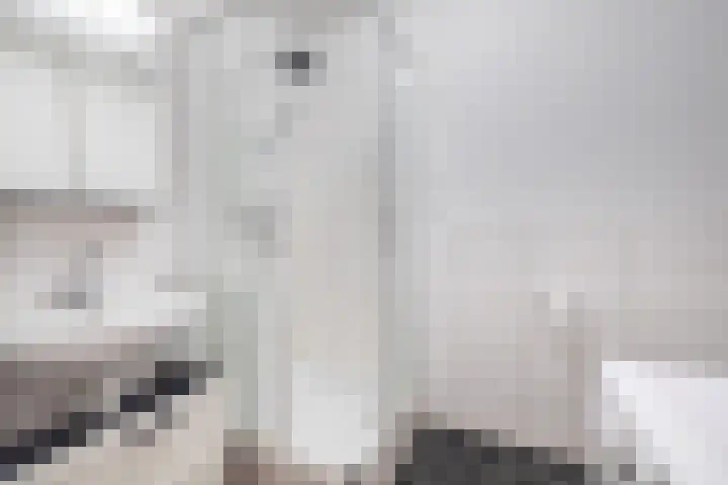 Wilhelminastraat 10 p Waalwijk thumbnail 15