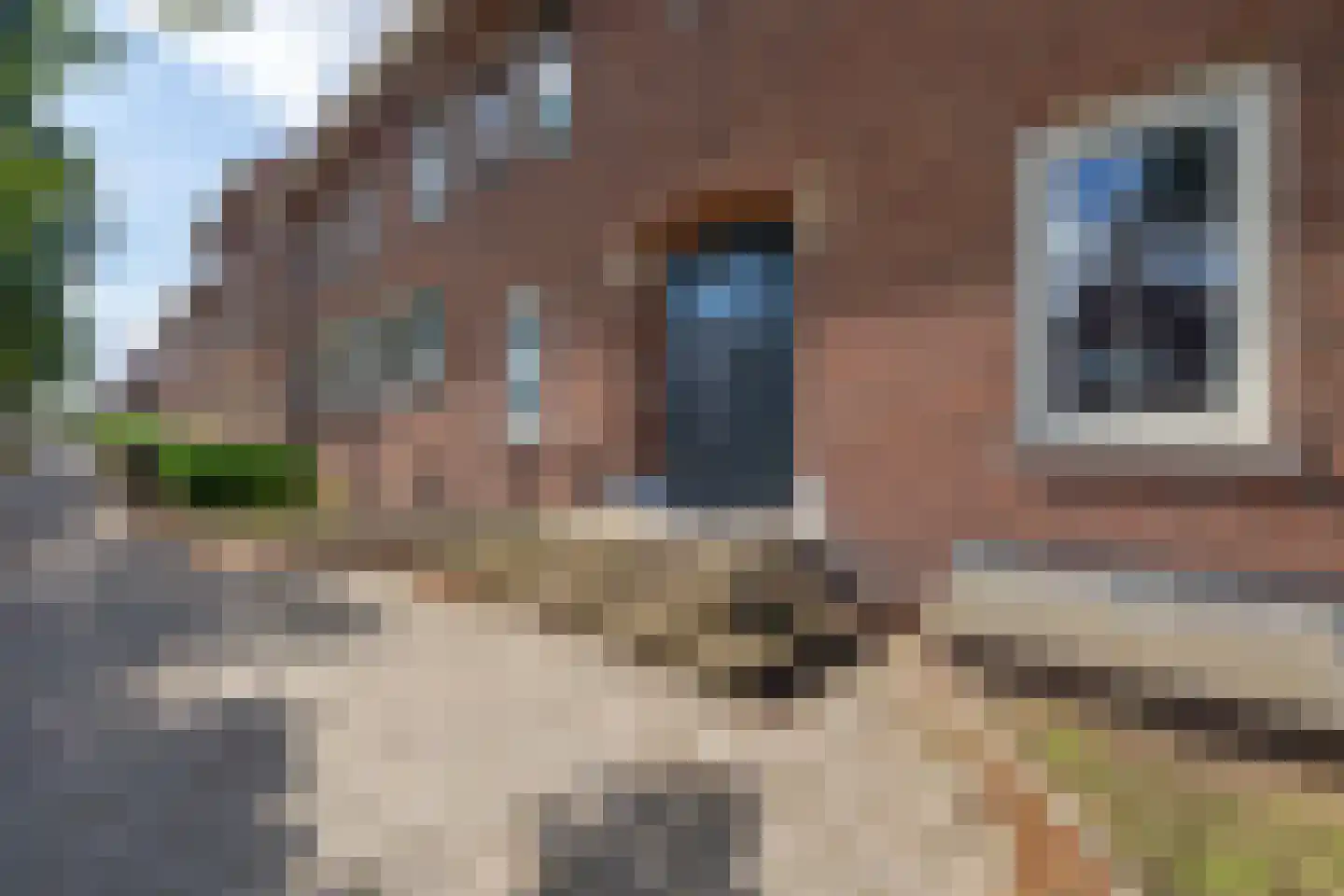 Wilhelminastraat 10 p Waalwijk thumbnail 5