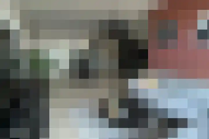 Wilhelminastraat 10 v Waalwijk thumbnail 16