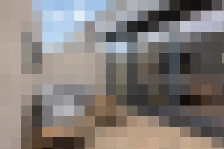 Wilhelminastraat 100 Uden thumbnail 12
