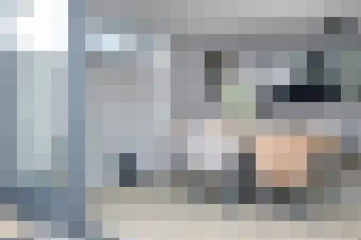 Wilhelminastraat 100 Uden thumbnail 13