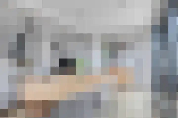 Wilhelminastraat 100 Uden thumbnail 14