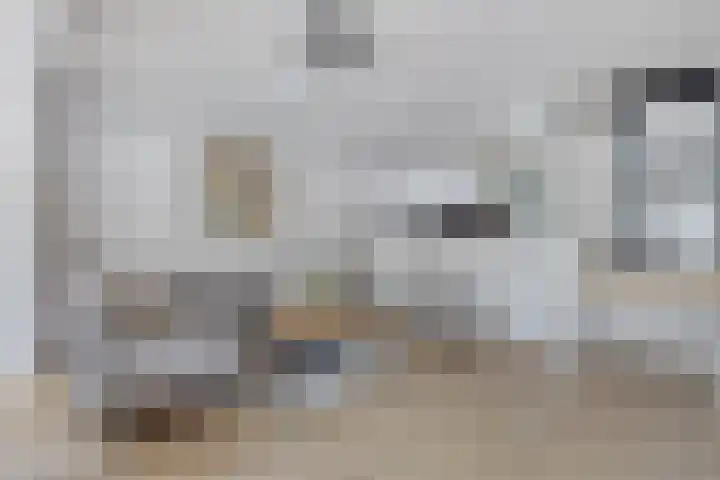 Wilhelminastraat 100 Uden thumbnail 15