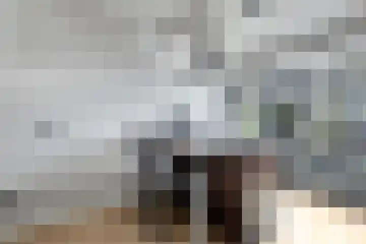 Wilhelminastraat 100 Uden thumbnail 17