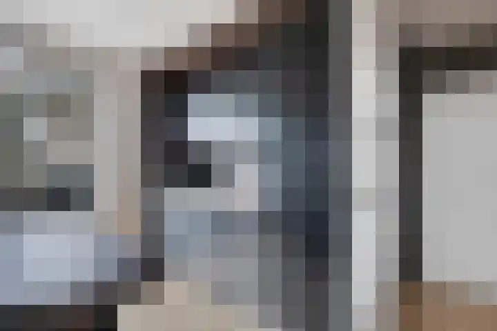 Wilhelminastraat 100 Uden thumbnail 19