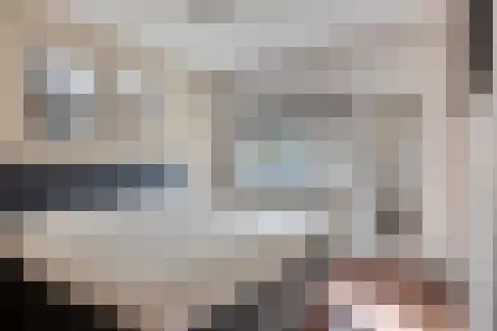 Wilhelminastraat 100 Uden thumbnail 23