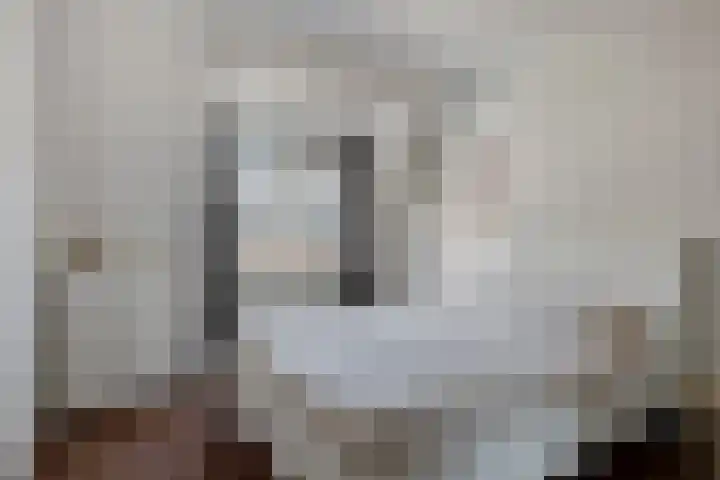 Wilhelminastraat 100 Uden thumbnail 25