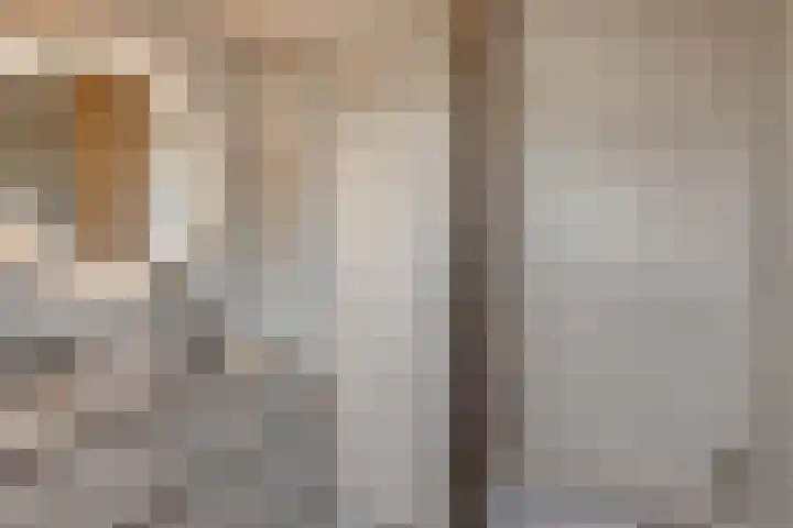 Wilhelminastraat 100 Uden thumbnail 31