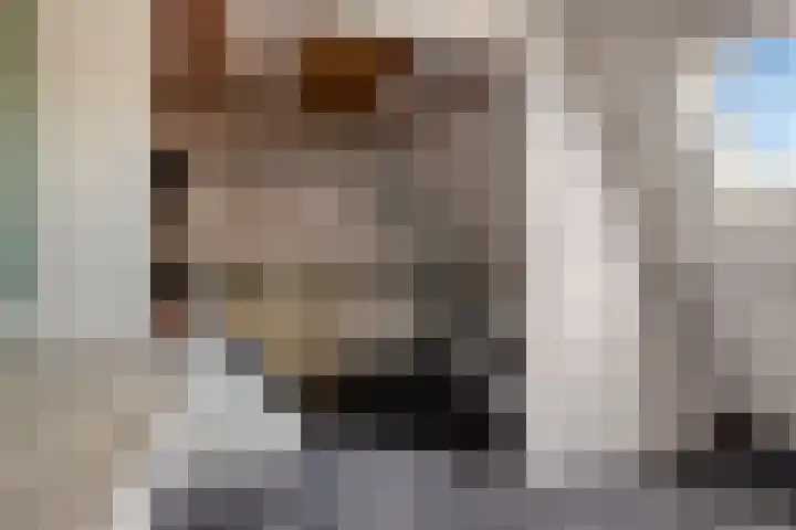 Wilhelminastraat 100 Uden thumbnail 32